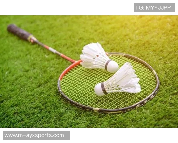 英超羽毛球战术解析与上海羽毛球队控制体系的深度探讨