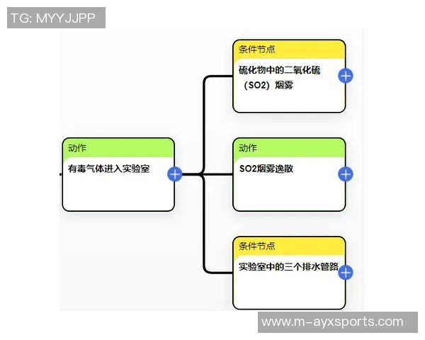 深入分析杭州羽毛球队反击战术的独特魅力与实战应用