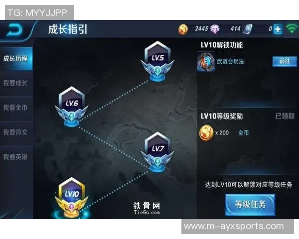 杨敏专访：深入探讨王者荣耀的成长与未来发展之路实时数据